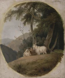 Kashmir Goats, c.1780-1820